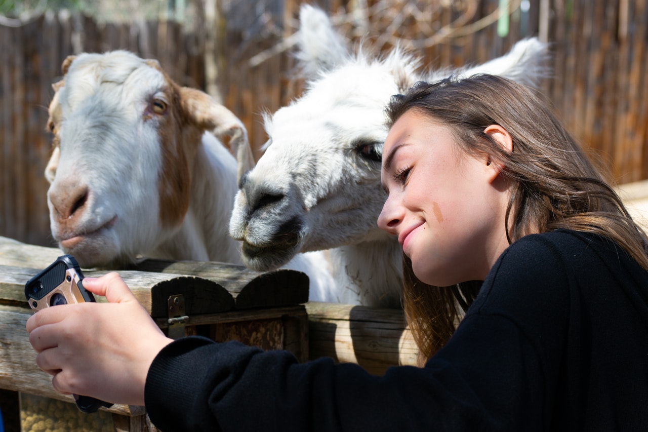 Quand réserver son billet pour un parc animalier ?