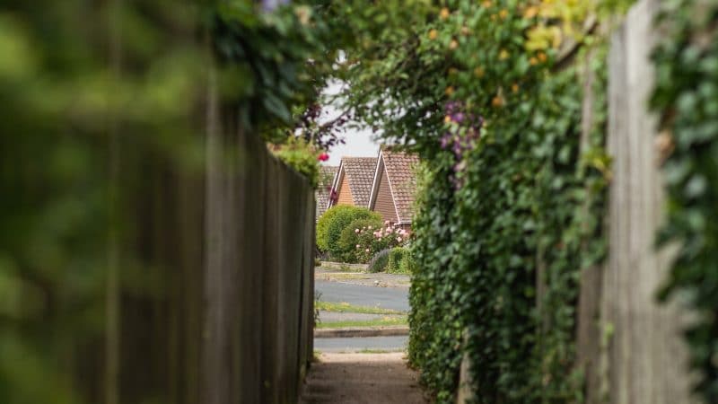 Quelles plantes mettre devant ma clôture ?