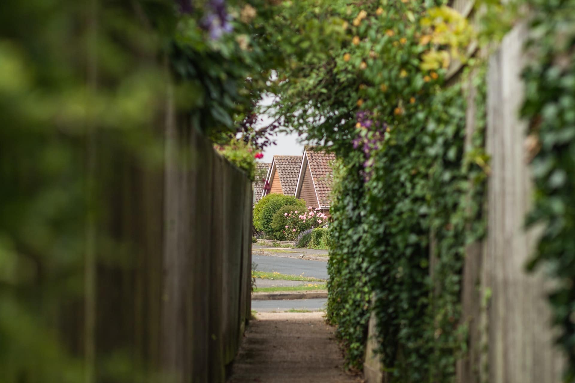 Quelles plantes mettre devant ma clôture ?