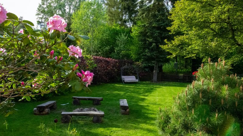 Comment faire de l’ombre dans le jardin ?